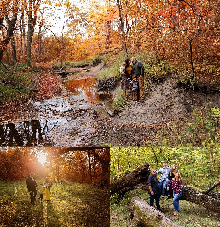 ATP-favorite-locations-Fallen-tree.jpg